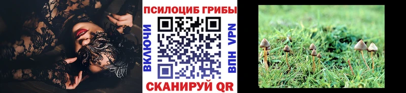 Галлюциногенные грибы Magic Shrooms  ссылка на мегу ссылка  Корсаков 